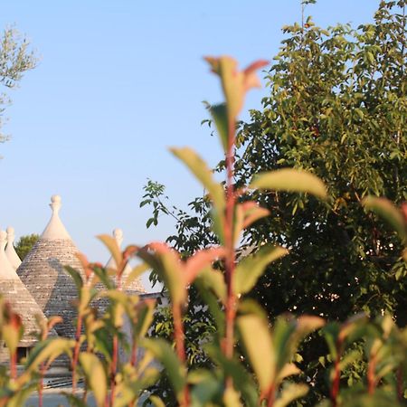 Pietra D'Angolo لوكوروتوندو المظهر الخارجي الصورة